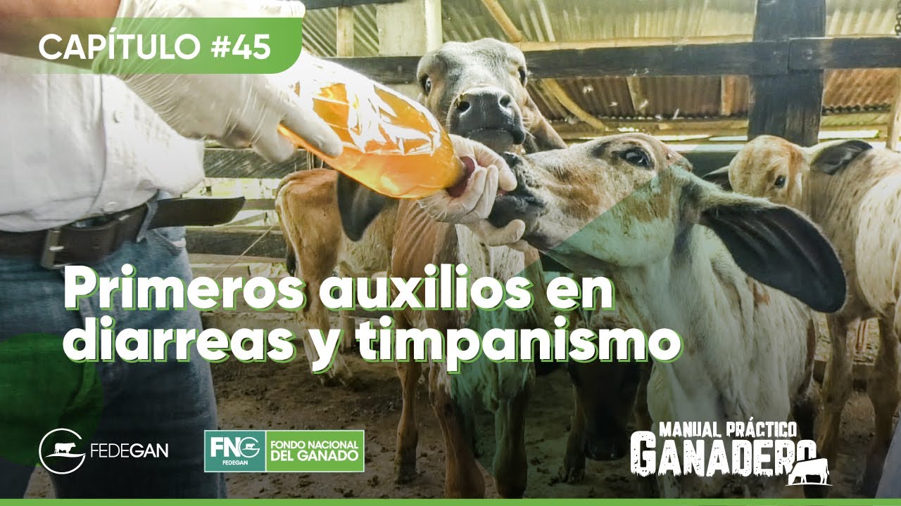 Cap 45 Timpanismo y Diarreas primeros auxilios 