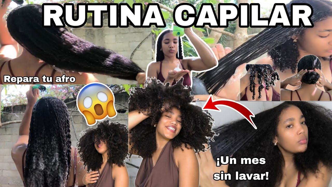 Rutina capilar completa para revivir rizos ✨💦 Haz crecer tu cabello| Rachell Santos 