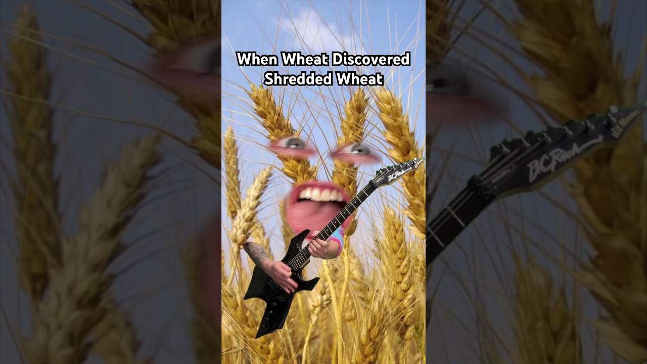 When Wheat Discovered Shredded Wheat