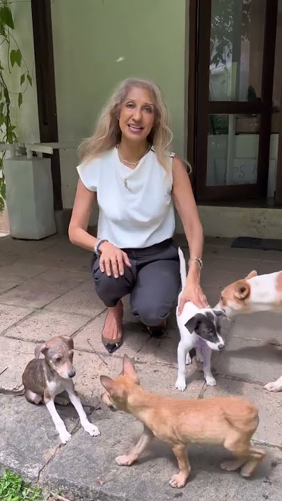 Help Them Find Forever Homes 🏡❤️|  Otara Gunewardene