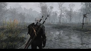 The Witcher 3 - 2019 - Assassin of Kings ReShade - Gameplay The Witcher 3 - 2019 - Assassin of Kings ReShade - Gameplay