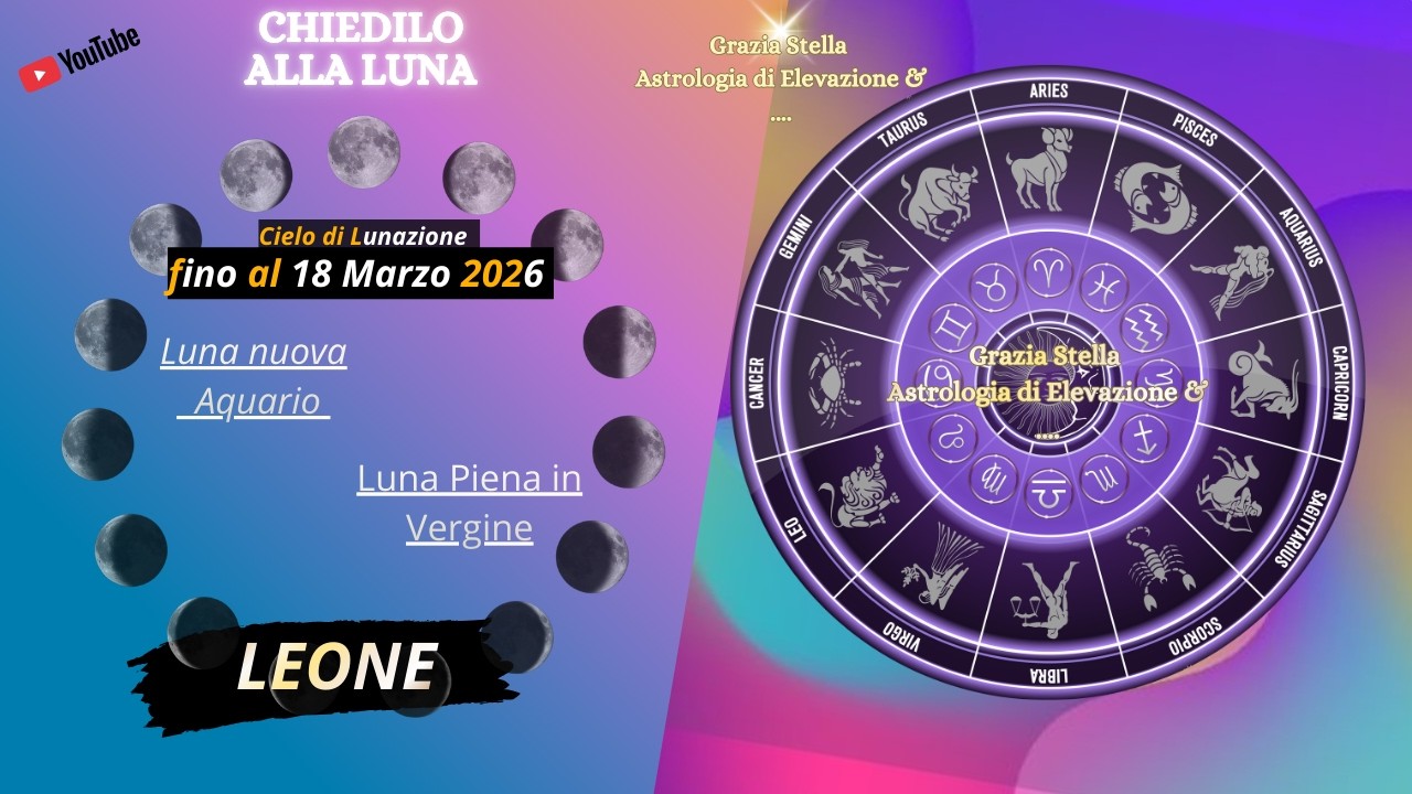 LEONE : LA SCELTA GIUSTA!