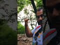 How to reach Valley of flowers. Mini Vlog #1.
