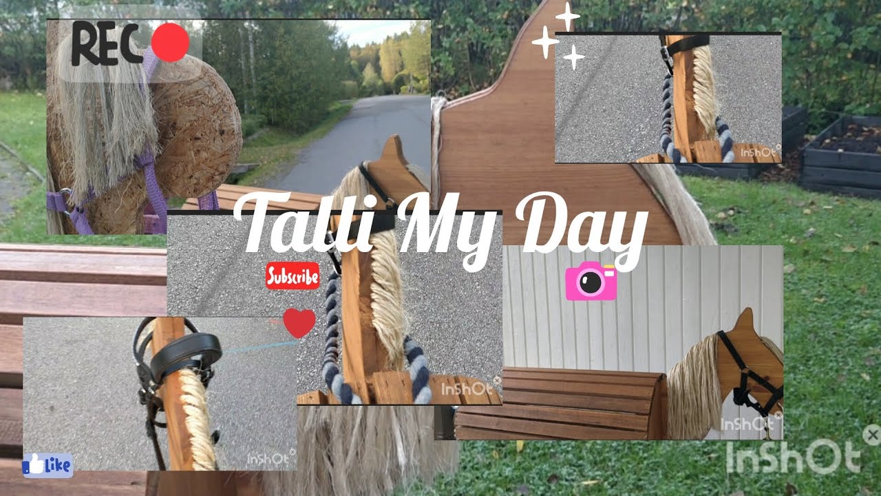 Talli My Day🐎🤍