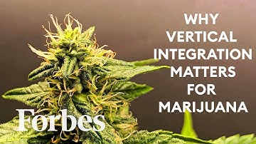 What Is Vertical Integration And Why Is It A Hot Topic In The Cannabis Industry? | Defined | Forbes