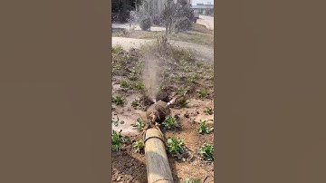 Laying Pipes Without Digging 🤯