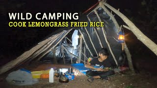 Building Bushcraft Survival Shelter, Wild Camping Overnight, Cook Lemongrass Fried Rice