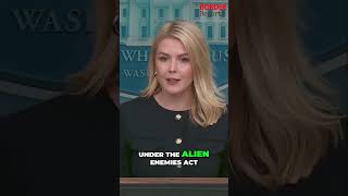 trump Va Con Todo tendr El Poder Para Deportar Karoline Leavitt