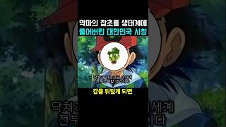 악마의 잡초를 생태계에 풀어버린 대한민국 시청