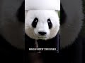 #动物世界 #动物解说 #关于动物世界的故事