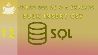 12 - Comando BULK INSERT para insertar datos desde CSV | Curso SQL desde cero