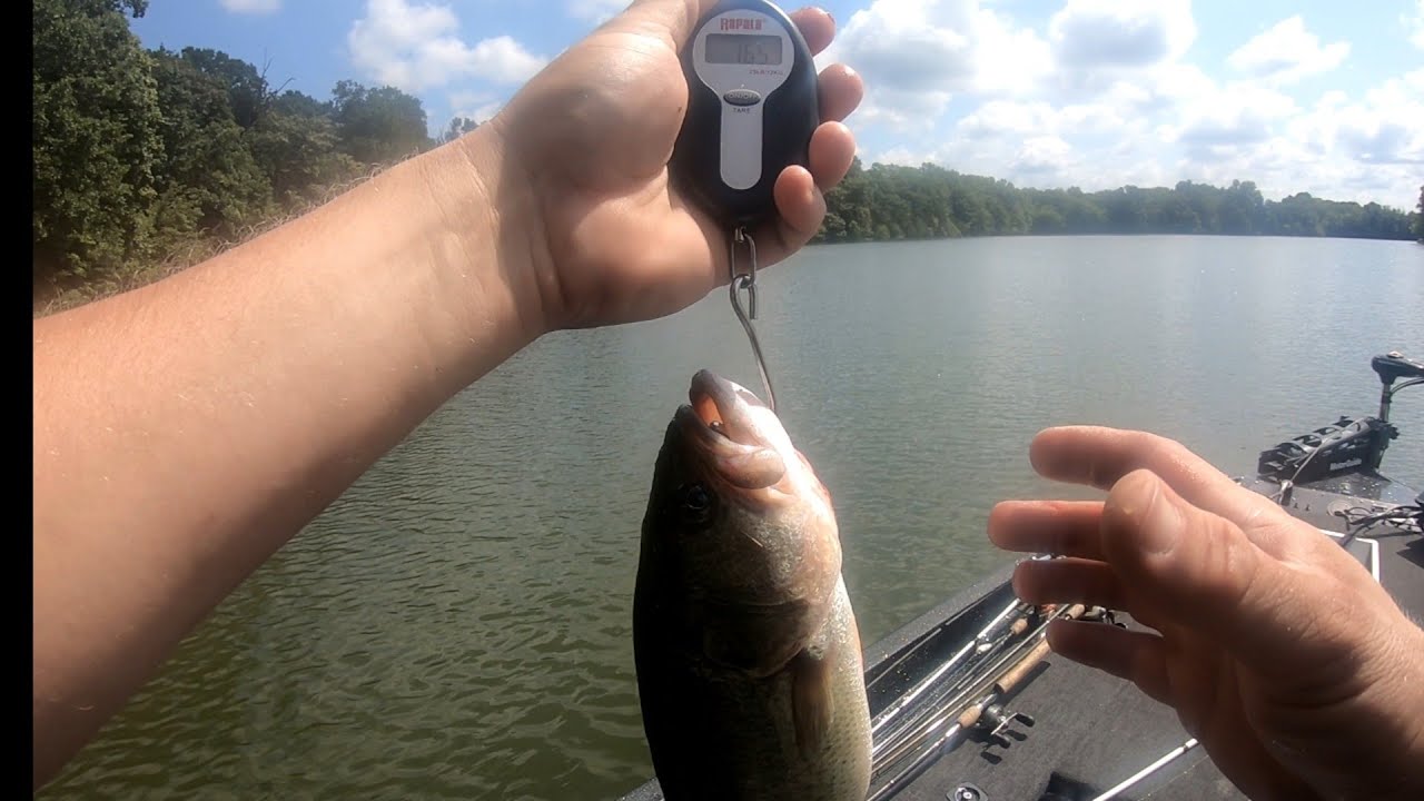 Trying for a new PB Bass Guist Creek Lake Ky. YouTube