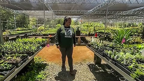 UC Davis leads research to protect landscaping threatened by climate change