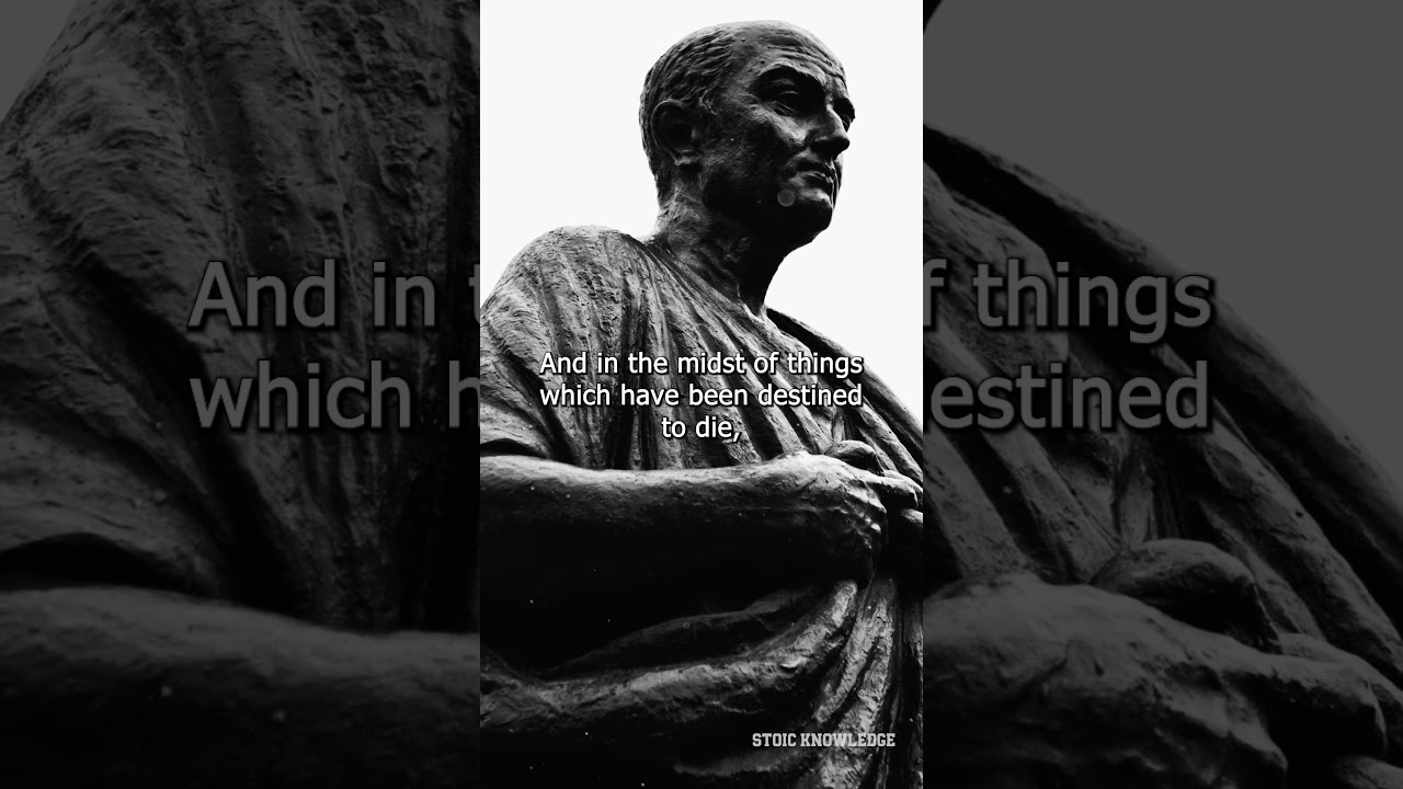 Live your life focusing on what matters! - Seneca 