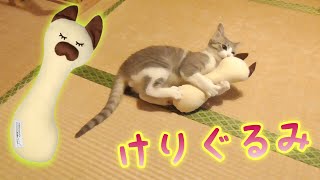 『けりぐるみ』を子猫にプレゼントしたらケリケリが凄かったwww