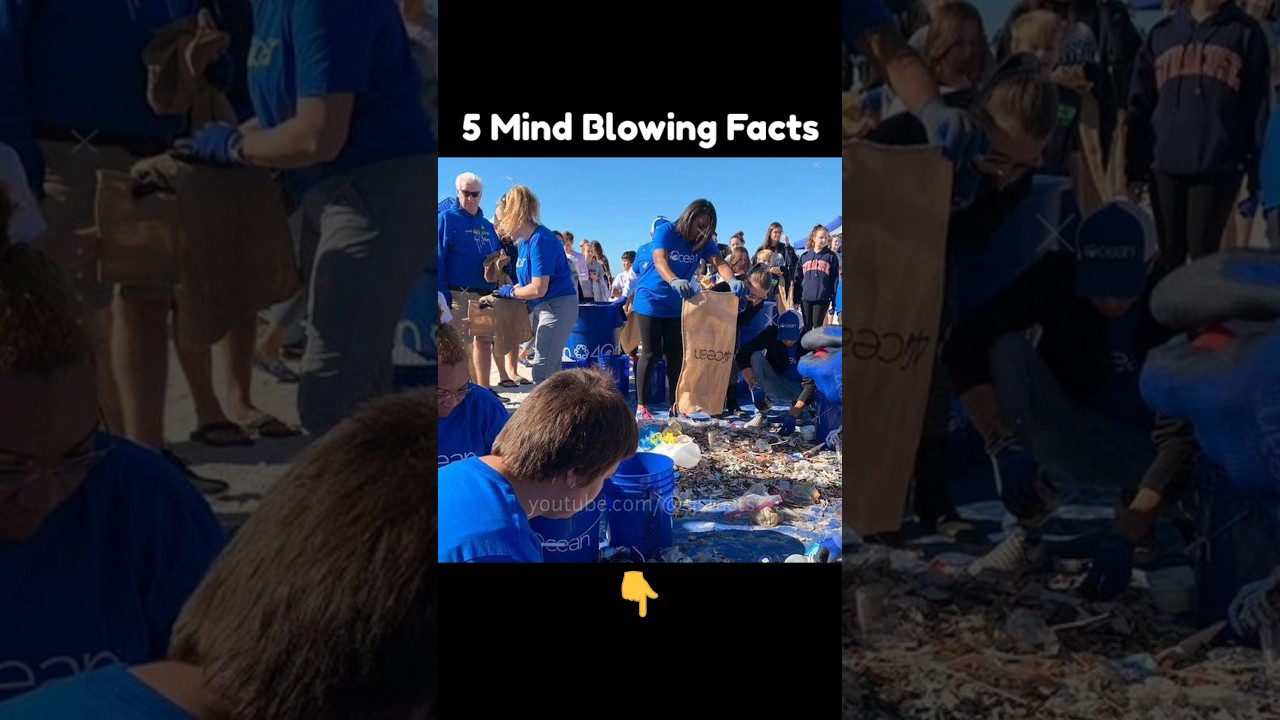 5 Mind Blowing Facts in English, You never know