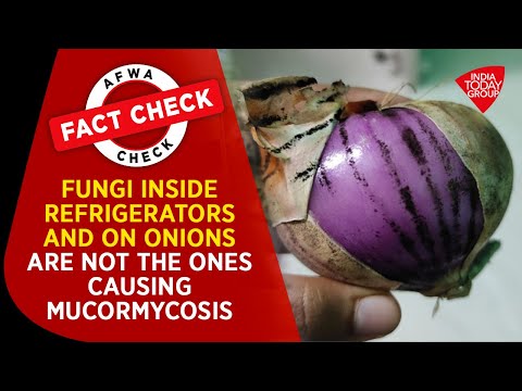 Video: Onion Black Mold Control - Uien behandelen met zwarte schimmel