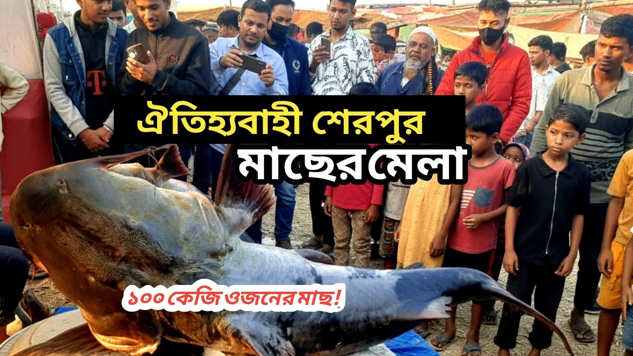 প্রজন্ম থেকে প্রজন্ম শেরপুর মাছের মেলা ঐতিহ্য ধরে রেখেছে | Sherpur Moulvibazar Fish Mela 2026
