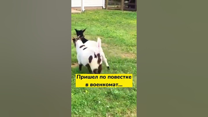 Пришел по повестке в военкомат...