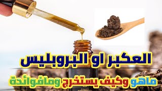 ماهو العكبر (البروبليس) كيف يستخرج طرق تنقيته فوائدة وكيف يستخدم للاستاذة سارة سعد