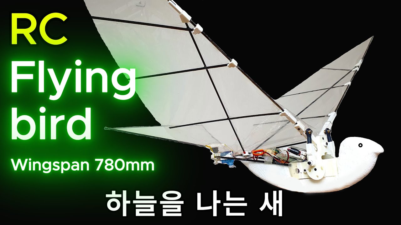 RC Flying Bird _ 하늘을 나는 새 780mm _ Ornithopter 