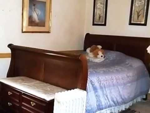 609 Avondale Ave, Rocky Mount, NC home video tour