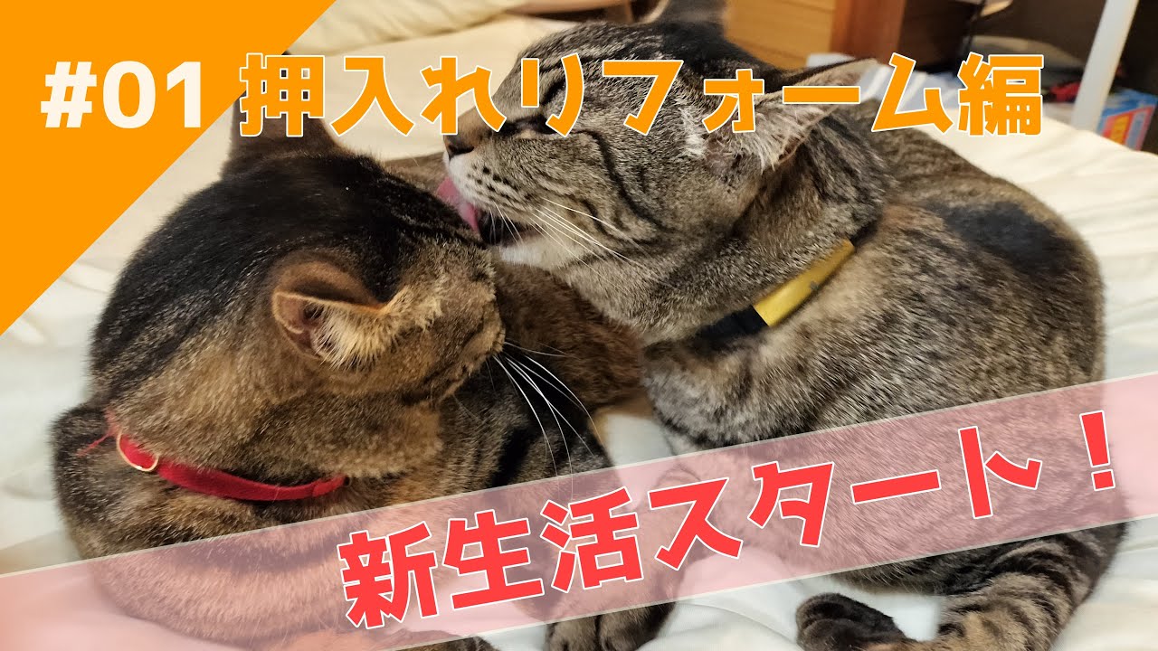 #01「新生活スタート」