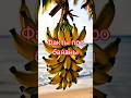 Факты про бананы #бананы #факты #атызнал #знайти #интереснознать #факт