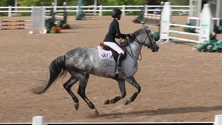 Rebecca Turnbull and Valkyrie - Caledon Sept 22, 2...