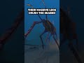 Why Sea Treaders Never Stop Walking In Subnautica #shorts #subnautica