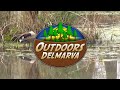 Delaware Forest Service