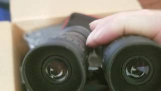 Celebrity BIG WIN! FAST CASH MULTIPLIER! Profile