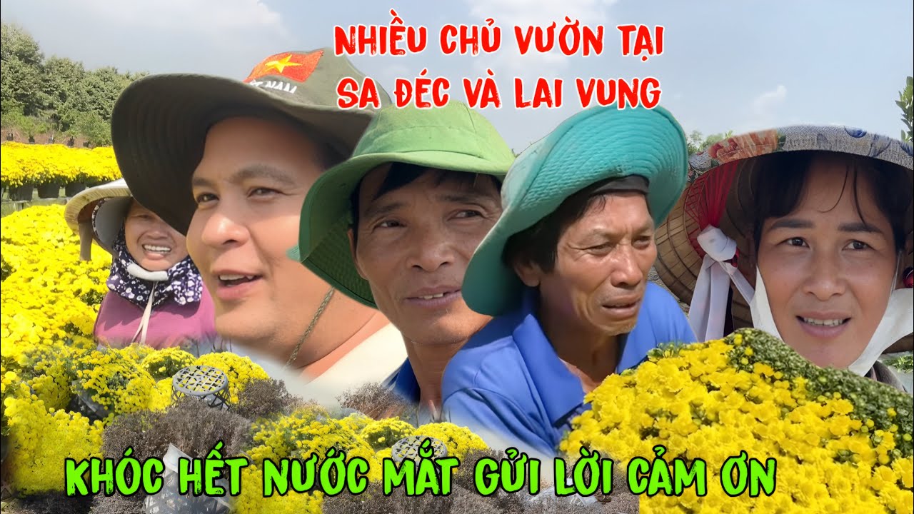 Nhiều chủ vườn ở sa đéc,lai vung. khóc hết nước mắt vì giải cứu hết hoa gửi lời cảm ơn đến bà con C.