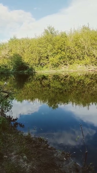 река Свияга, 14.05.23 г. - YouTube