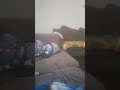 your stupid