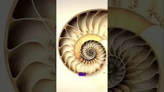 Circumambulation The Ancient Practice Of Selfdiscovery Explained