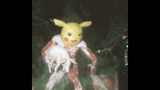 POKÉMON RED
