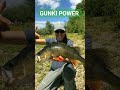 GUNKI POWER @ thé river#big asp#