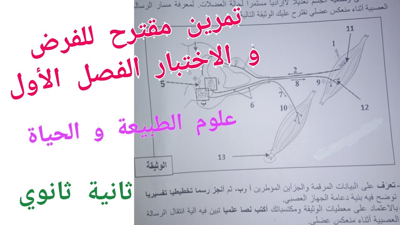 تمرين مقترح للفرض و الاختبار الفصل الأول في العلوم الطبيعية للسنة الثانية ثانوي