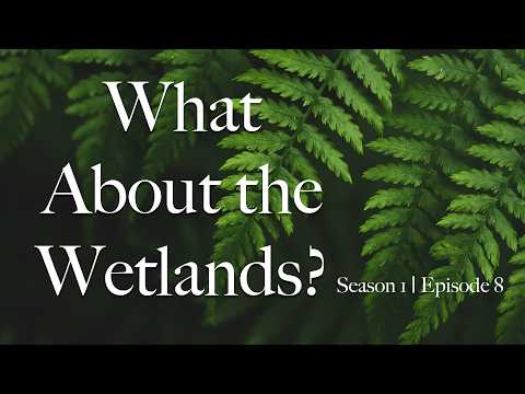 A Wealth of Knowledge | What About The Wetlands? | S1 E08