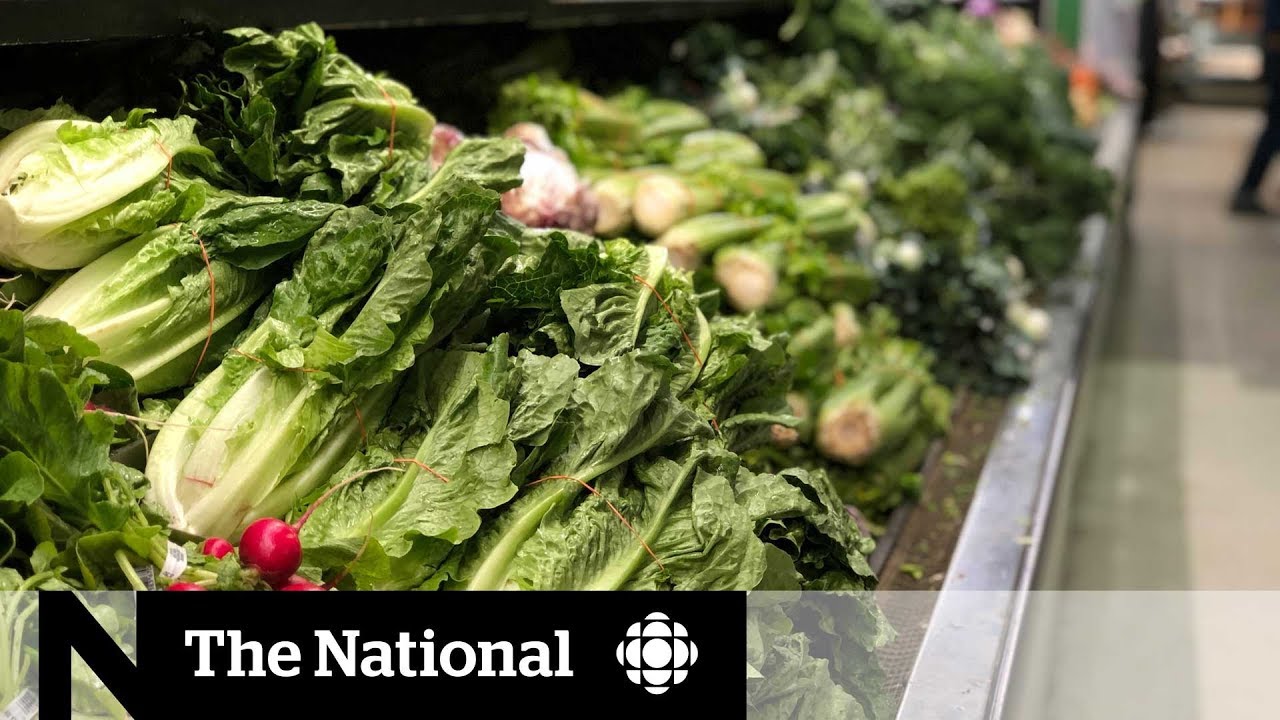 Why fruits and vegetables just keep getting pricier journalism internships