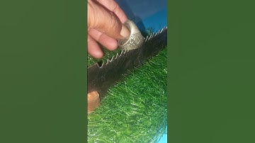 Unlock the Secret to Razor-Sharp Saws!"