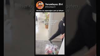 Herkes Ne Yapacağını Çok Iyi Biliyor