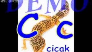 mari belajar abc