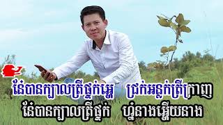 ក្របីជល់ចេក ភ្លេងសុទ្ធមានប្រុស