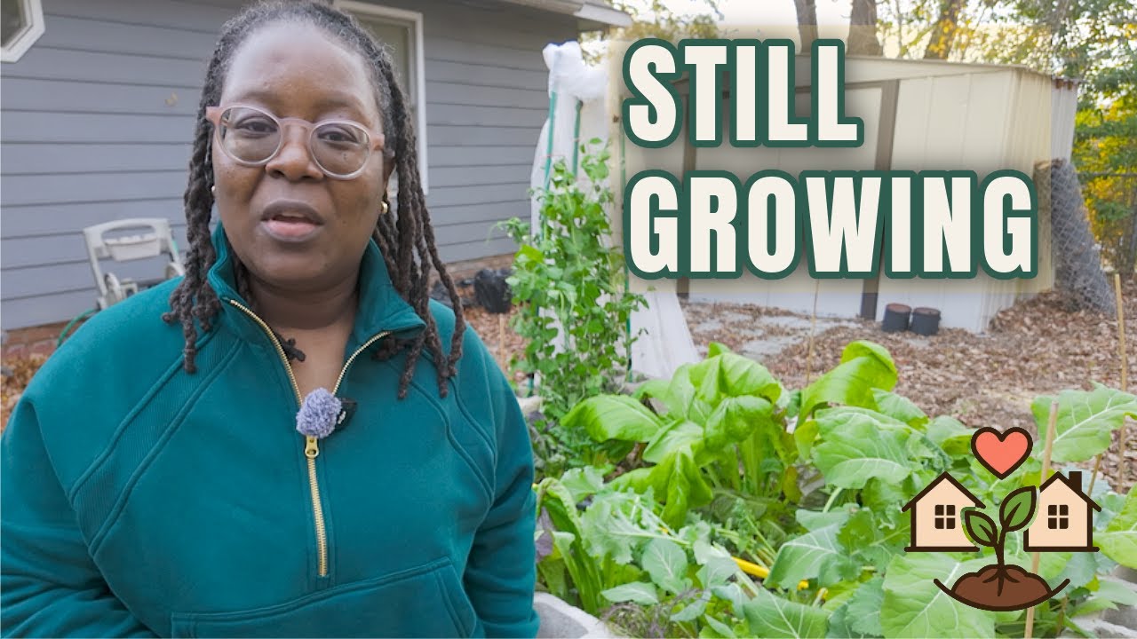 Зимнее обновление от Two Roots Garden 🌱 Представлены приподнятая грядка и система GreenStalk (зон...