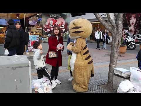 JHKTV] 신촌 명물고양이 보고 <strong>또보고</strong> shin chon special cat See and see