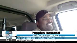 Fresno Sheriff's Deputy Rescues Puppies