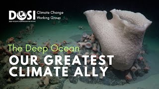 The Deep Ocean: Our Greatest Climate Ally