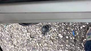 Match Highlights Junkyard Finds: 2002 Oldsmobile Aurora 3.5